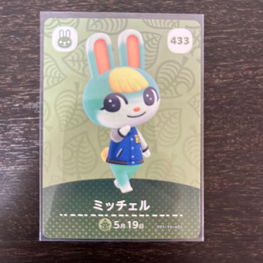 Switch あつまれ どうぶつの森　ソフト・amiiboセット