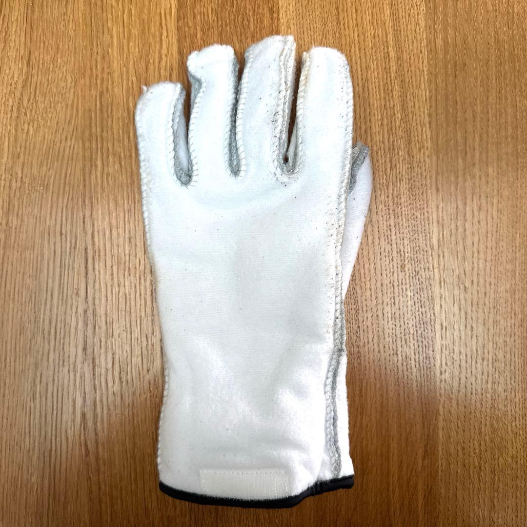 Hestra Alpine Pro へストラ　アルパインプロ