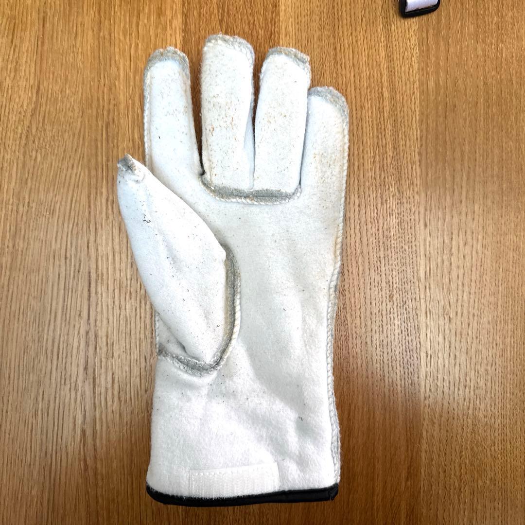 Hestra Alpine Pro へストラ　アルパインプロ