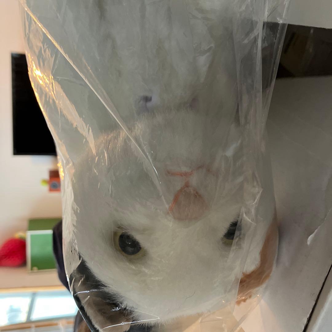 ねこにゃん　採血　保定　シュミレーター　愛玩動物看護師　動物病院