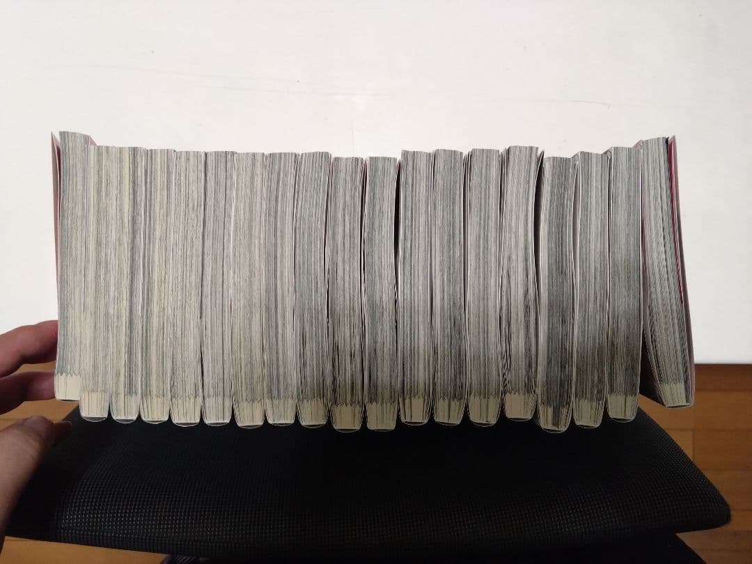 最終値下げ　終の退魔師19巻セット