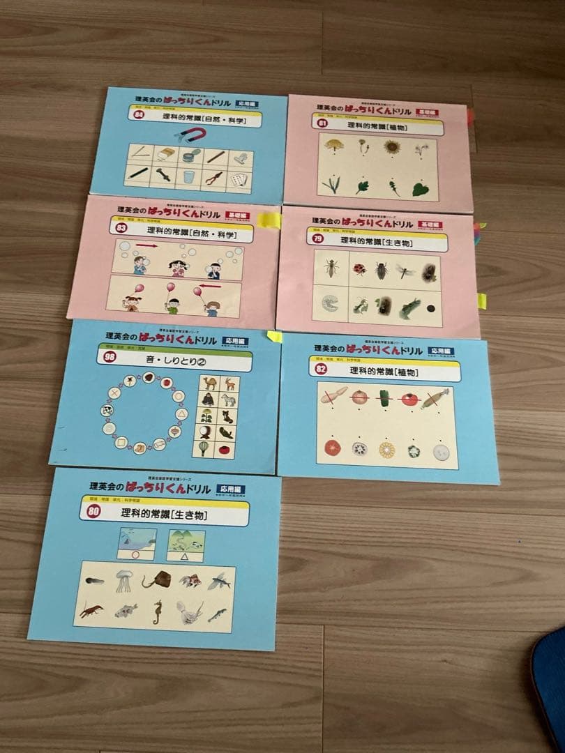 私立・ 国立小学校受験資料 まとめ売り理英会　こぐま会など