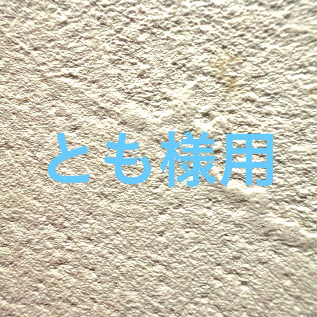 ともさま専用　森永 E赤ちゃん エコらくパック 0-1歳