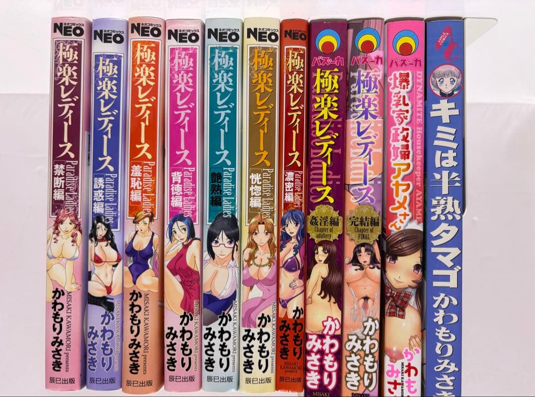 極楽レディース 全巻セット かわもりみさき まとめて 入手困難 希少