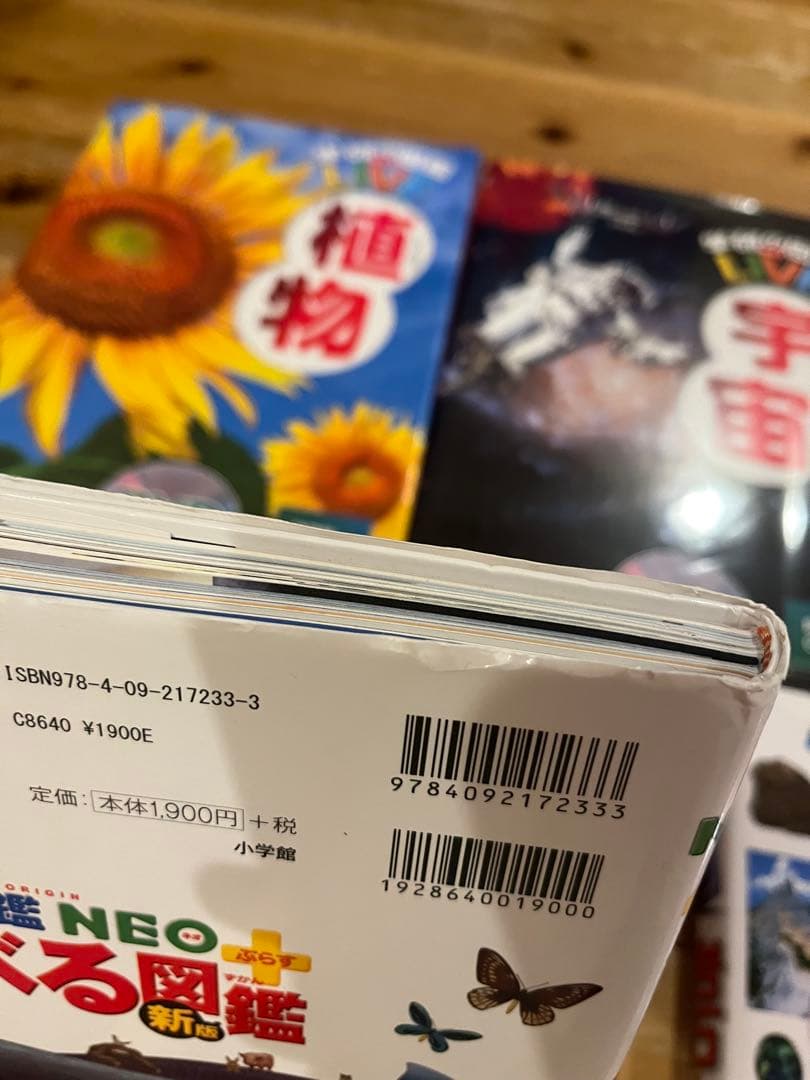 図鑑10冊まとめ売り