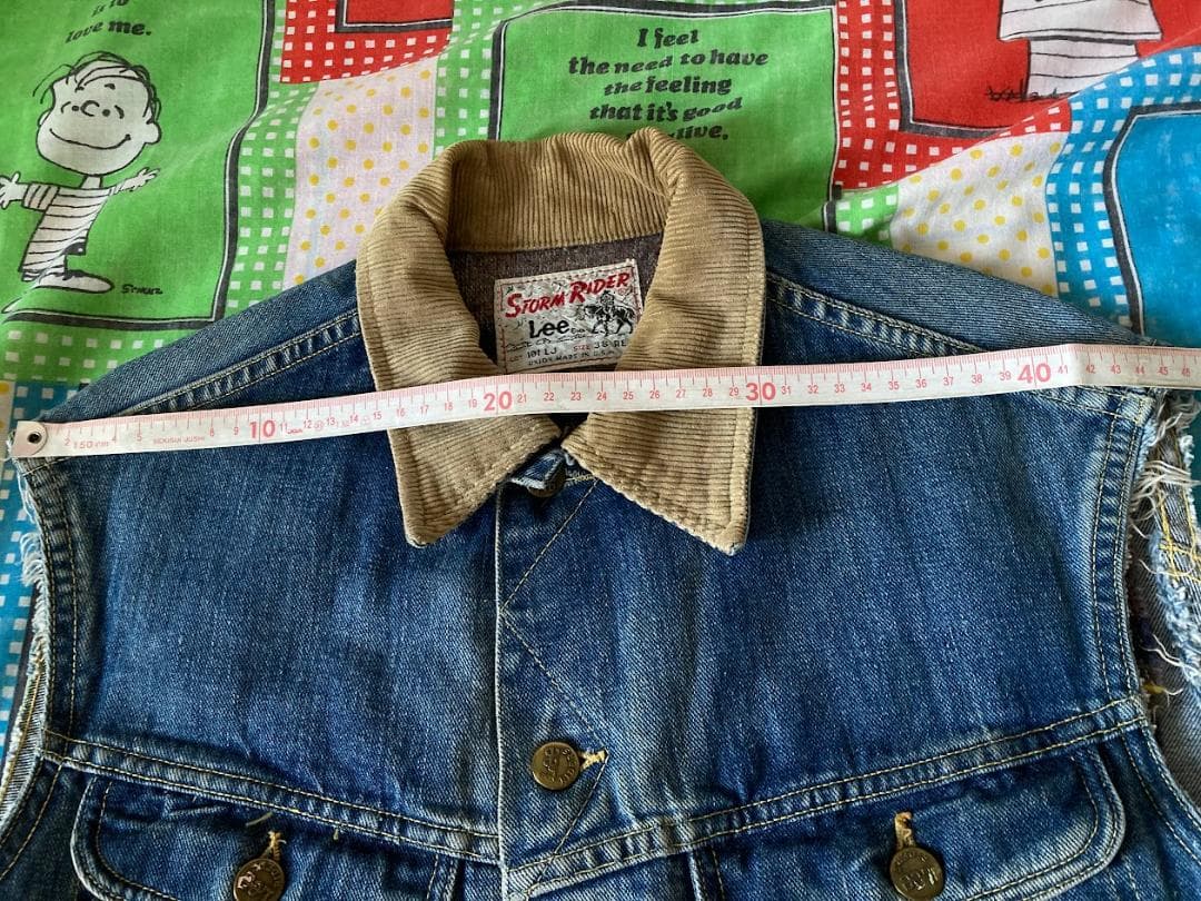 Lee 101LJ ストームライダー カットオフ ハンドペイント