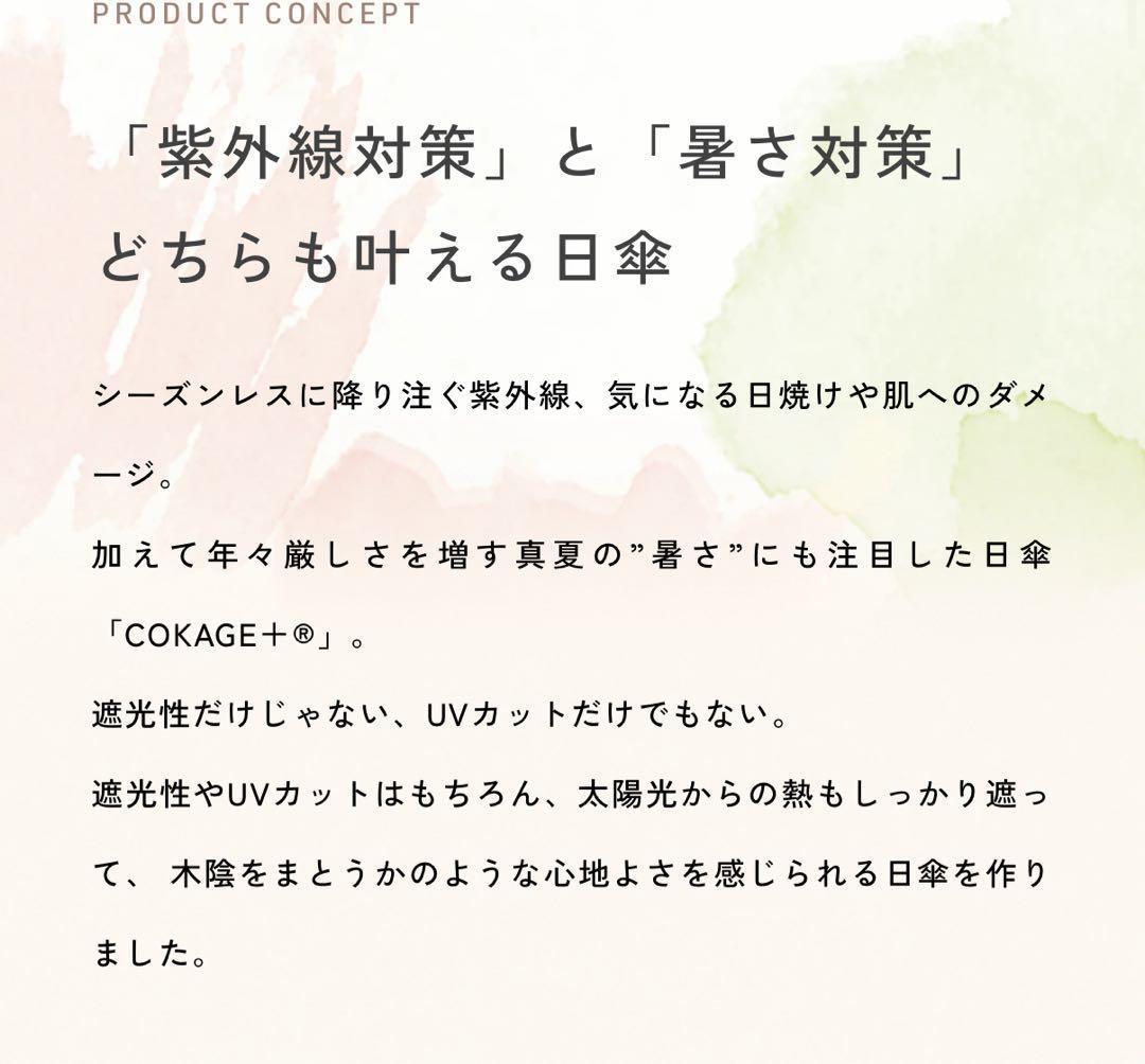 2way折　 cokage+ウォーターフロント コカゲプラス スノーグレー　55