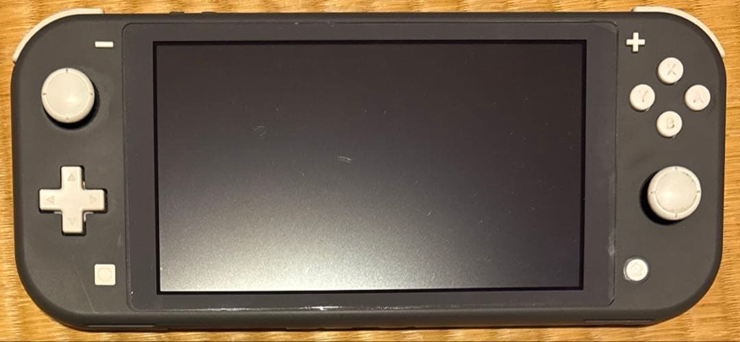Nintendo Switch Lite (グレー)