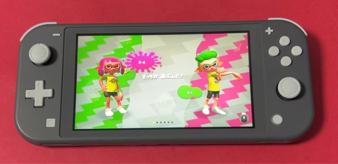 Nintendo Switch Lite グレー本体 【動作確認済】