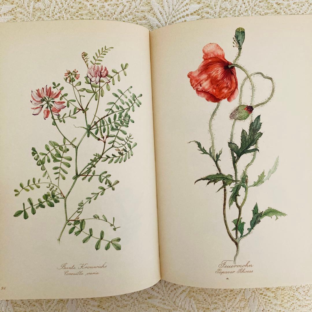 希少なヴィンテージ植物図鑑2巻セット　繊細で美しい植物画300点　洋書・古書