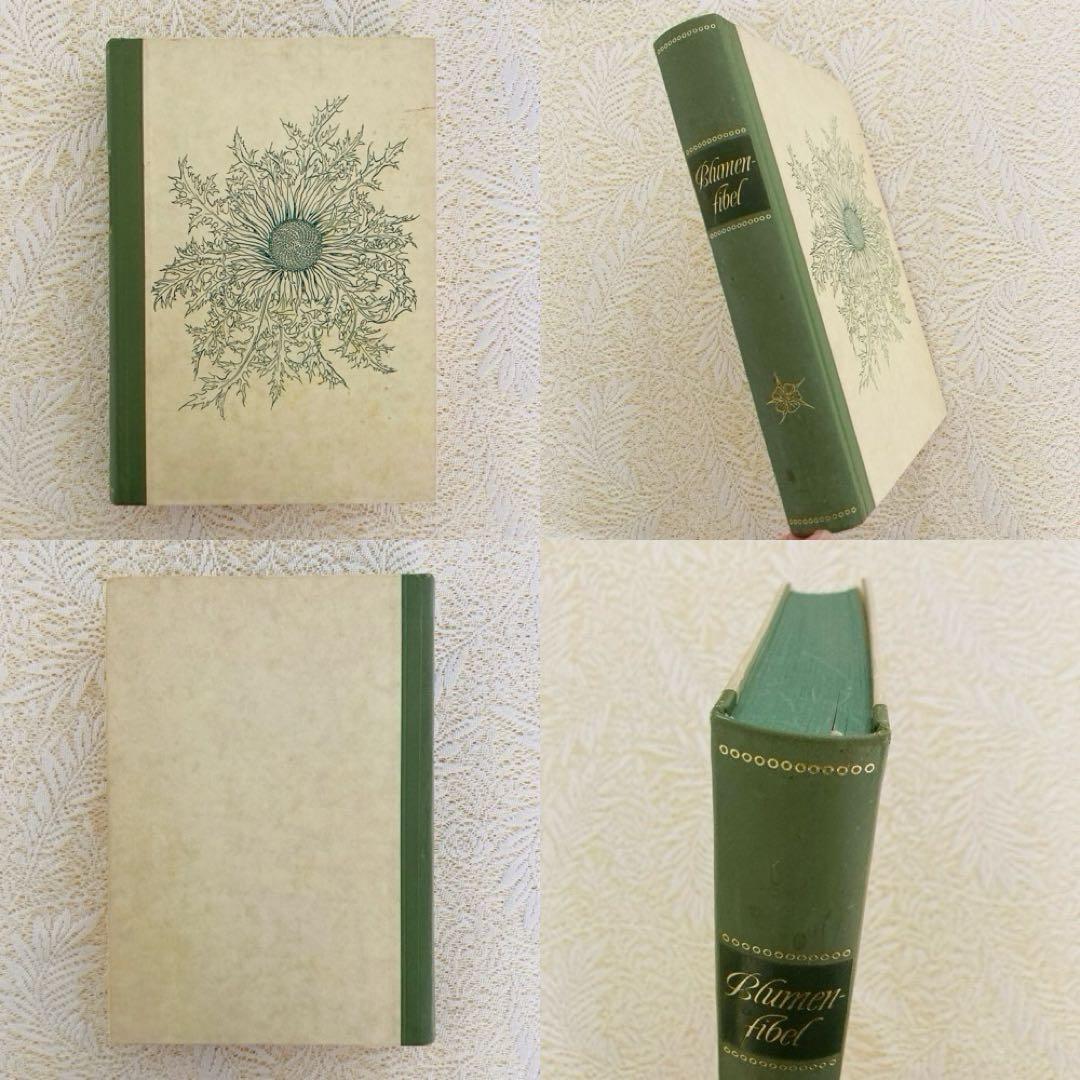 希少なヴィンテージ植物図鑑2巻セット　繊細で美しい植物画300点　洋書・古書