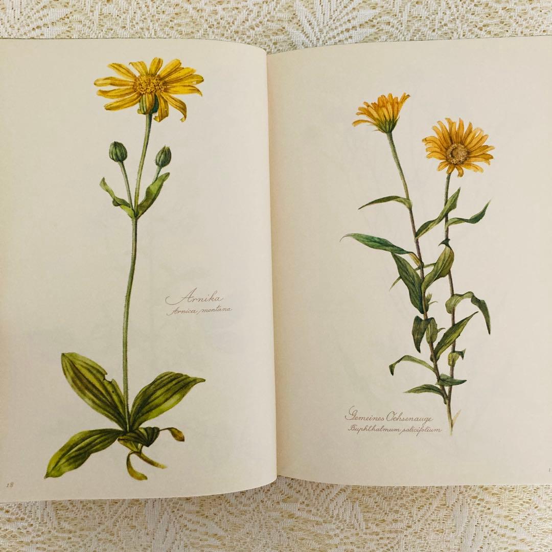 希少なヴィンテージ植物図鑑2巻セット　繊細で美しい植物画300点　洋書・古書