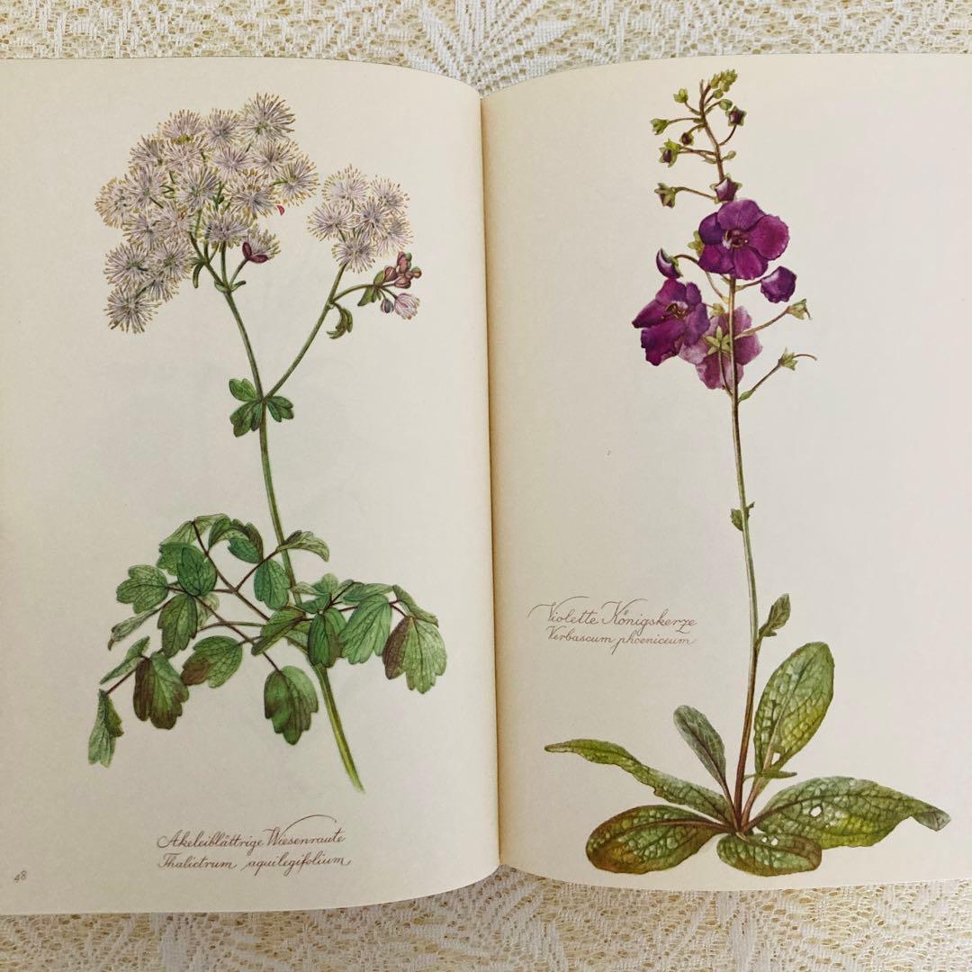 希少なヴィンテージ植物図鑑2巻セット　繊細で美しい植物画300点　洋書・古書