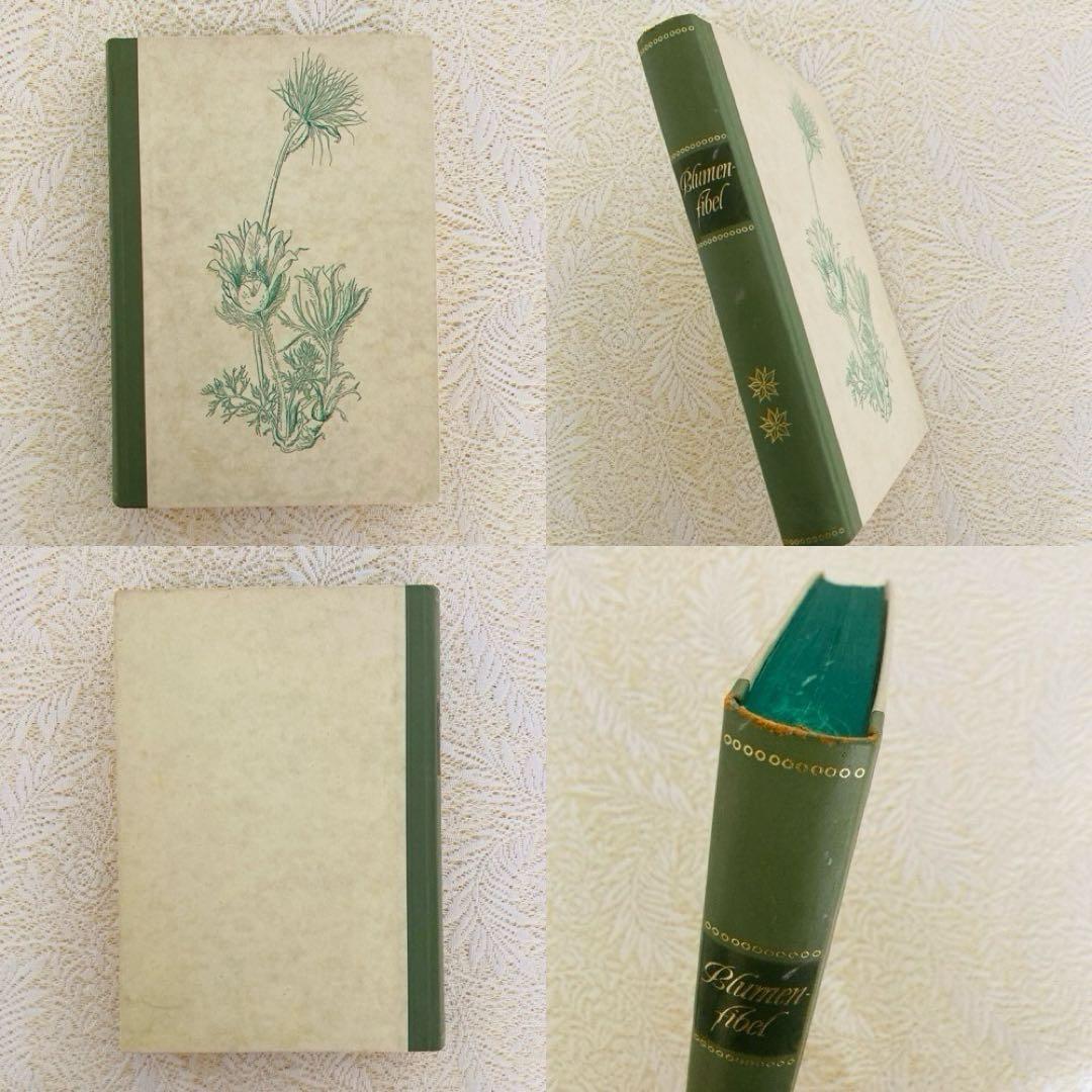 希少なヴィンテージ植物図鑑2巻セット　繊細で美しい植物画300点　洋書・古書
