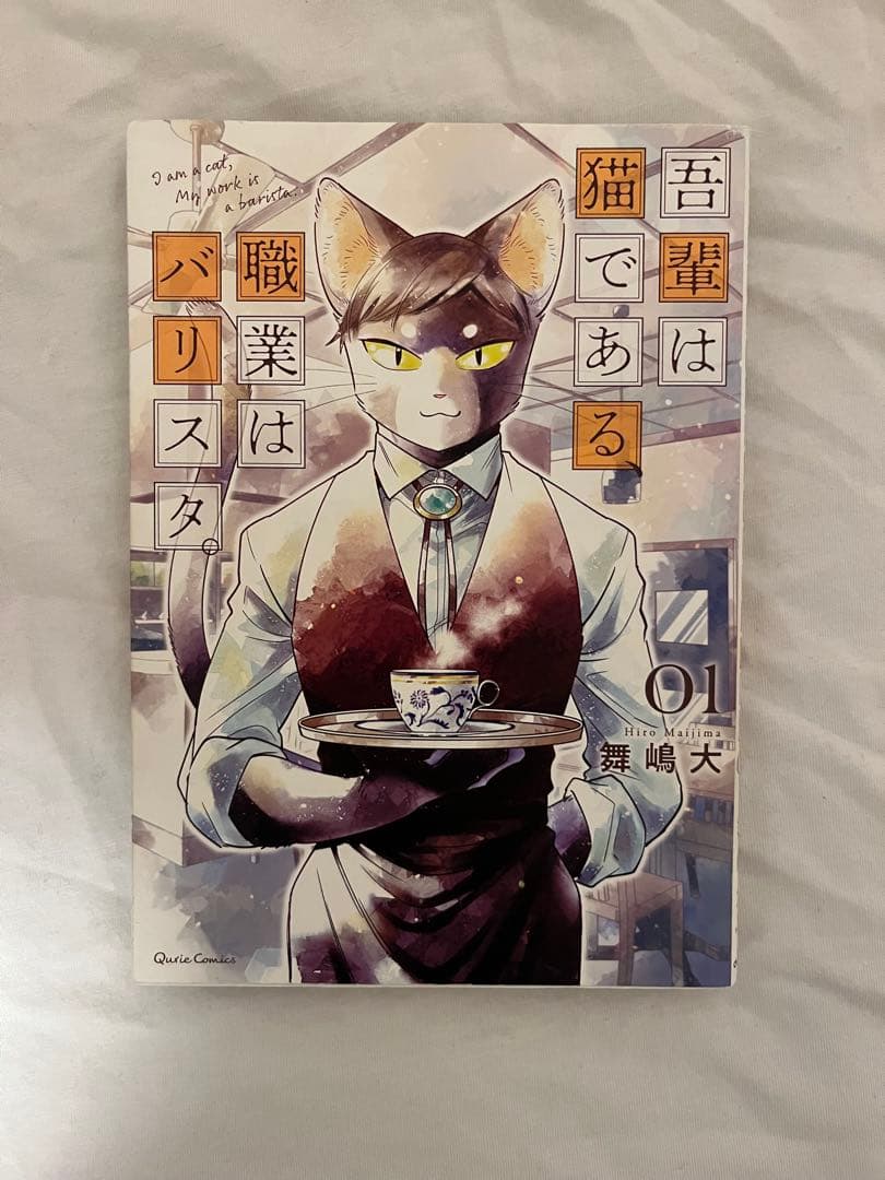 本のまとめ売り(ジャンルなし)