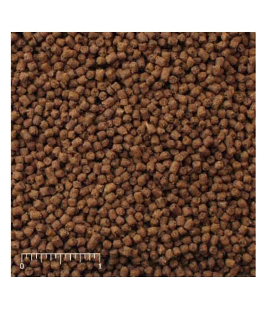 Mazuri インセクティボア ダイエット 11.34kg