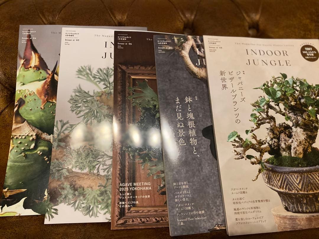 INDOOR JUNGLE 5冊セット