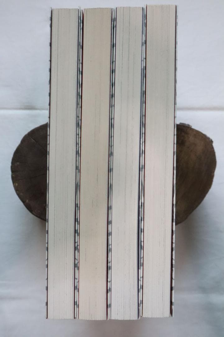 紅姉妹 耽美ロマン 全4巻 如月次郎 団鬼六　／全巻セット