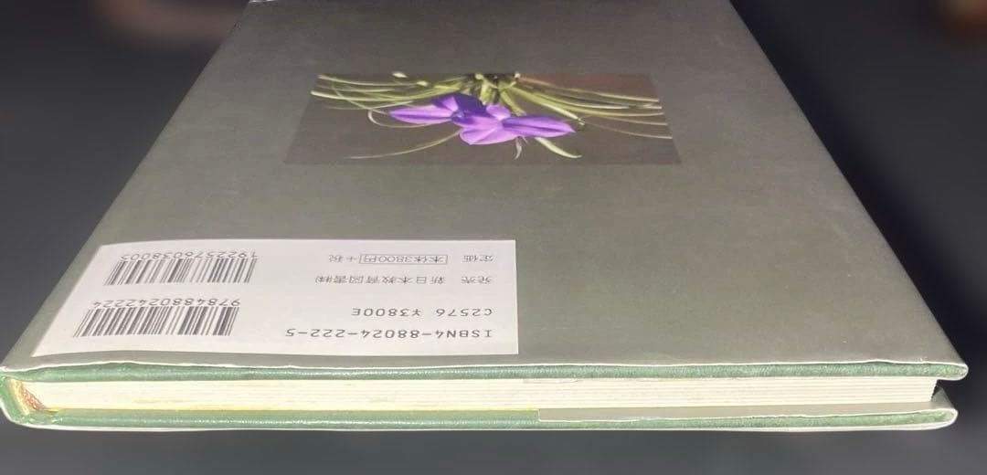 ティランジア・ハンドブック 改訂版 清水秀男 滝沢弘之 カバー付