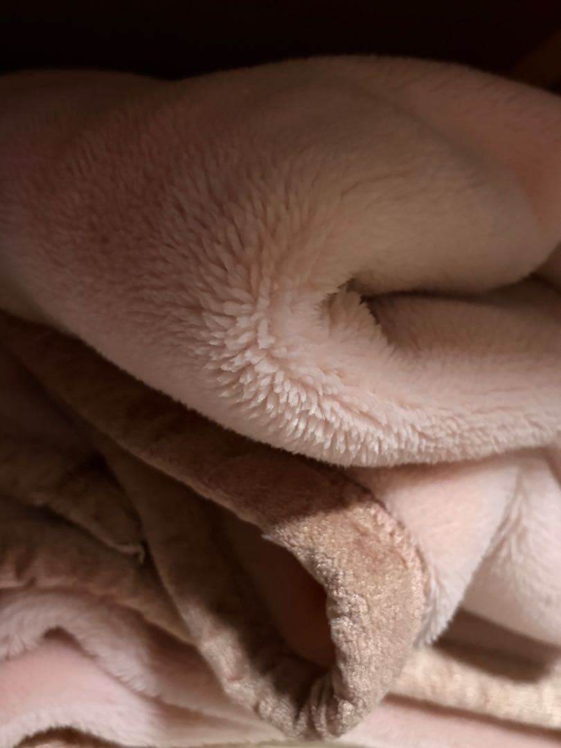 毛布　ダブル　NIKkE 日本毛織