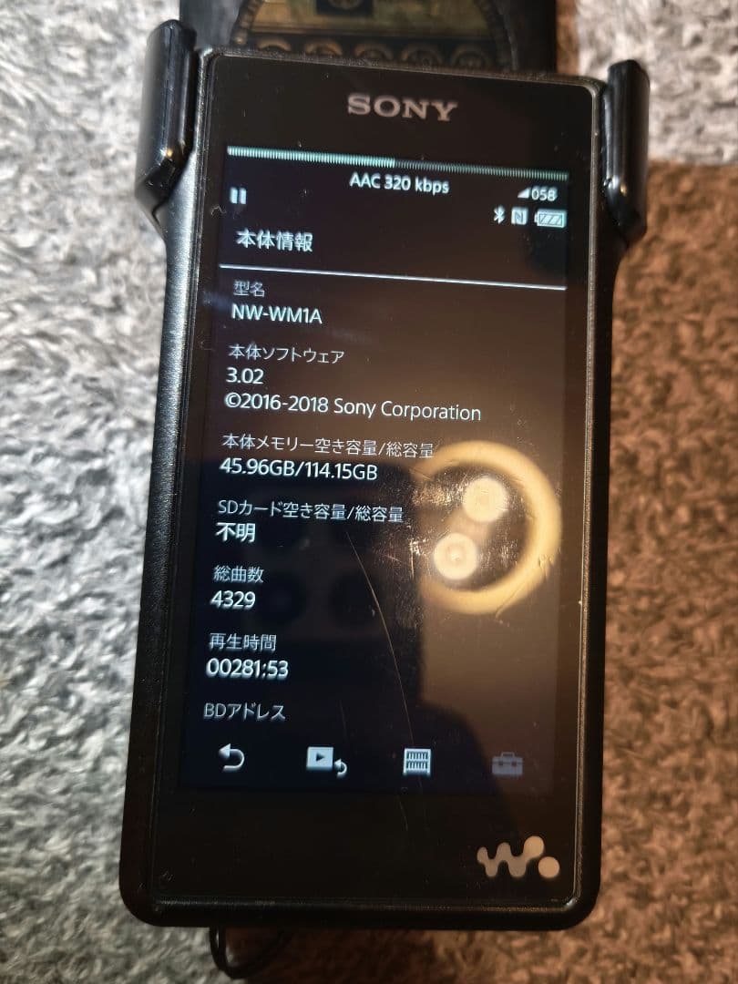 SONY WALKMAN NW-WM1A　純正ケースCKL-NWWM1 付