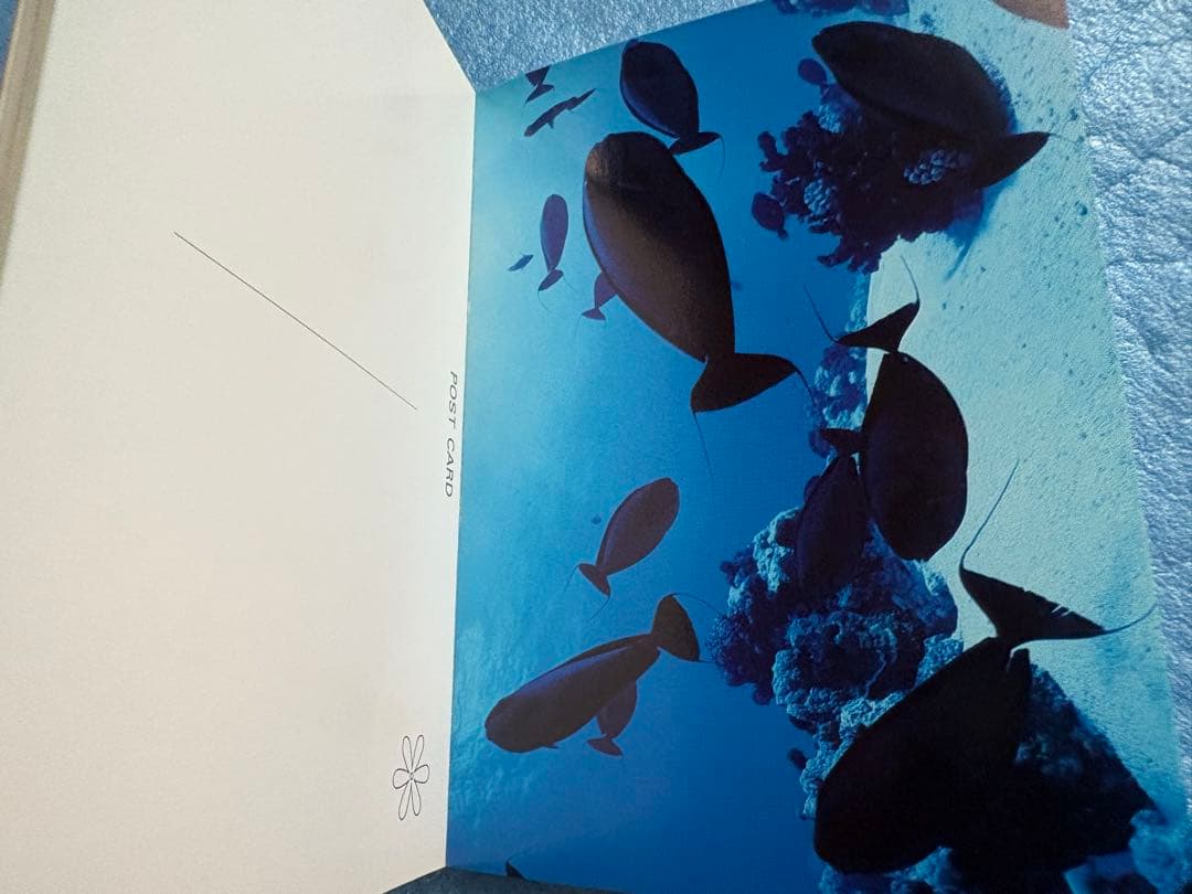 【稀少】三好和義 楽園TAHITI ポストカードブック　40点収録