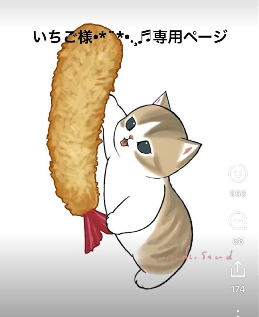 いちご様•*¨*•.¸♬︎専用ページ