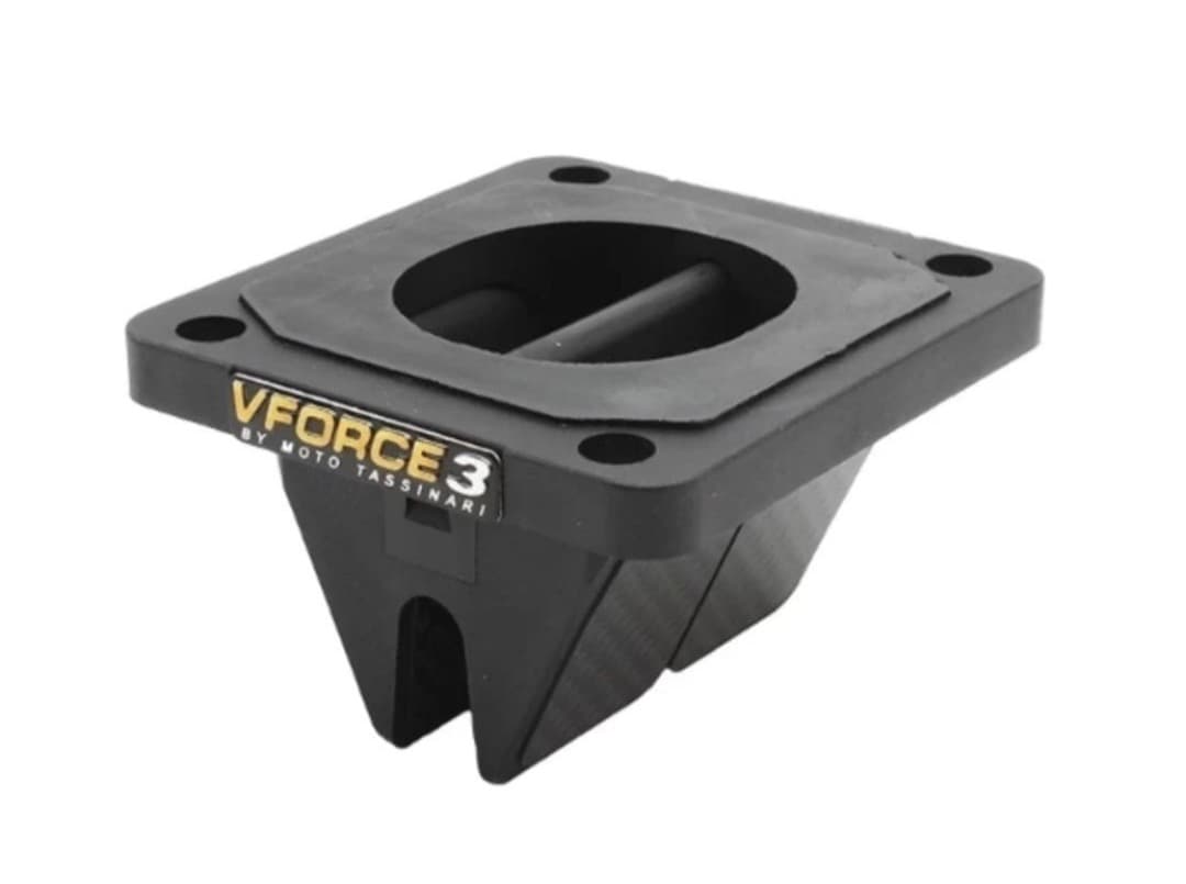 格安新品NSR50 NS-1等用 VFORCE3 ビックリードバルブ カーボン