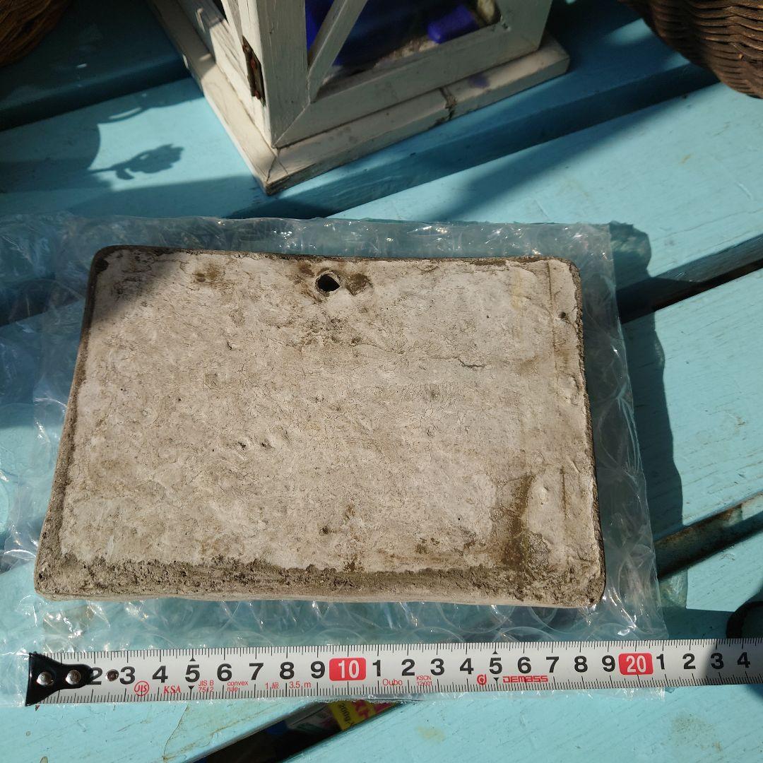 ワンダーデコールイヤープレート2025年