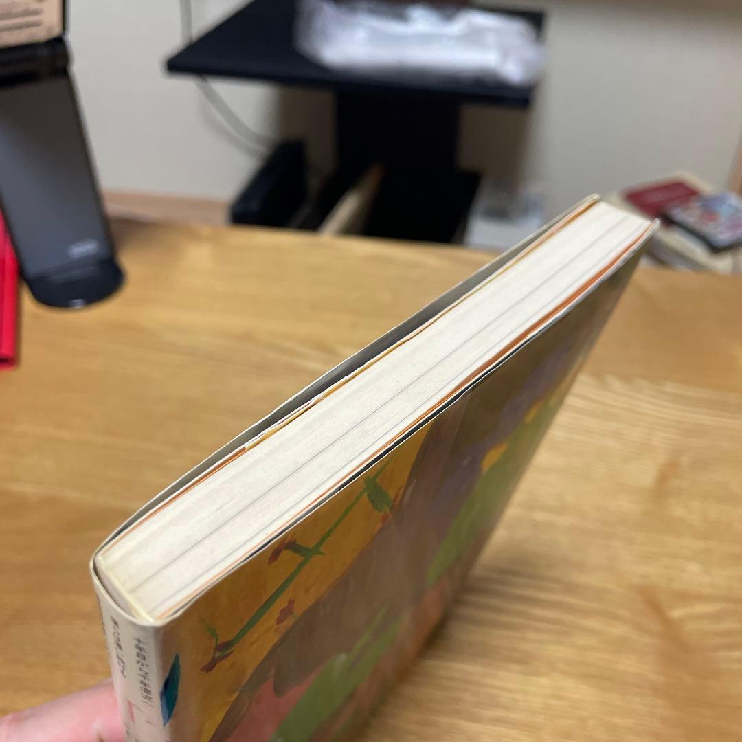 絶版　初版　希少　天野滋　千年漂流