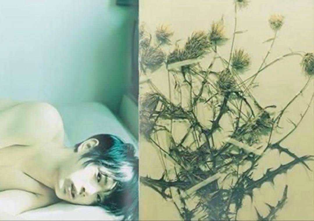 絶版‼️ 細倉真弓 KAZAN Mayumi Hosokura