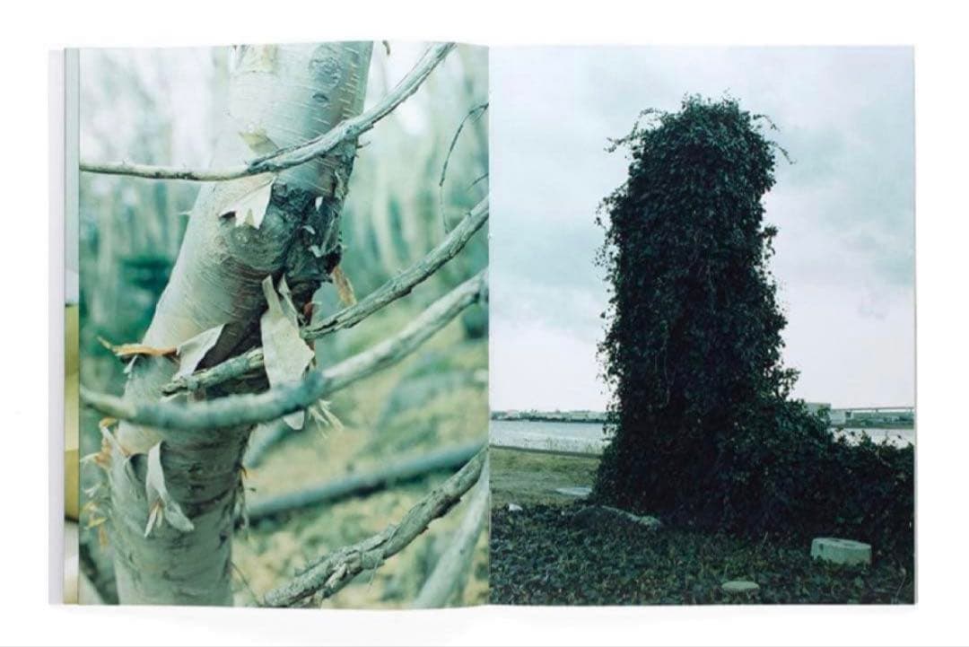 絶版‼️ 細倉真弓 KAZAN Mayumi Hosokura