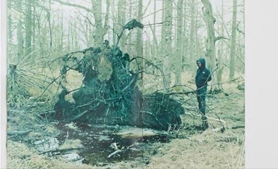 絶版‼️ 細倉真弓 KAZAN Mayumi Hosokura