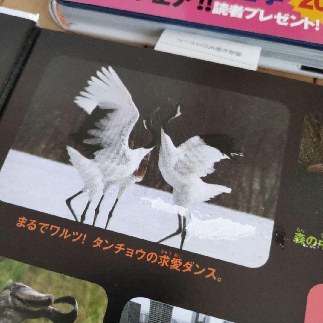 MOVEシリーズ 生物図鑑