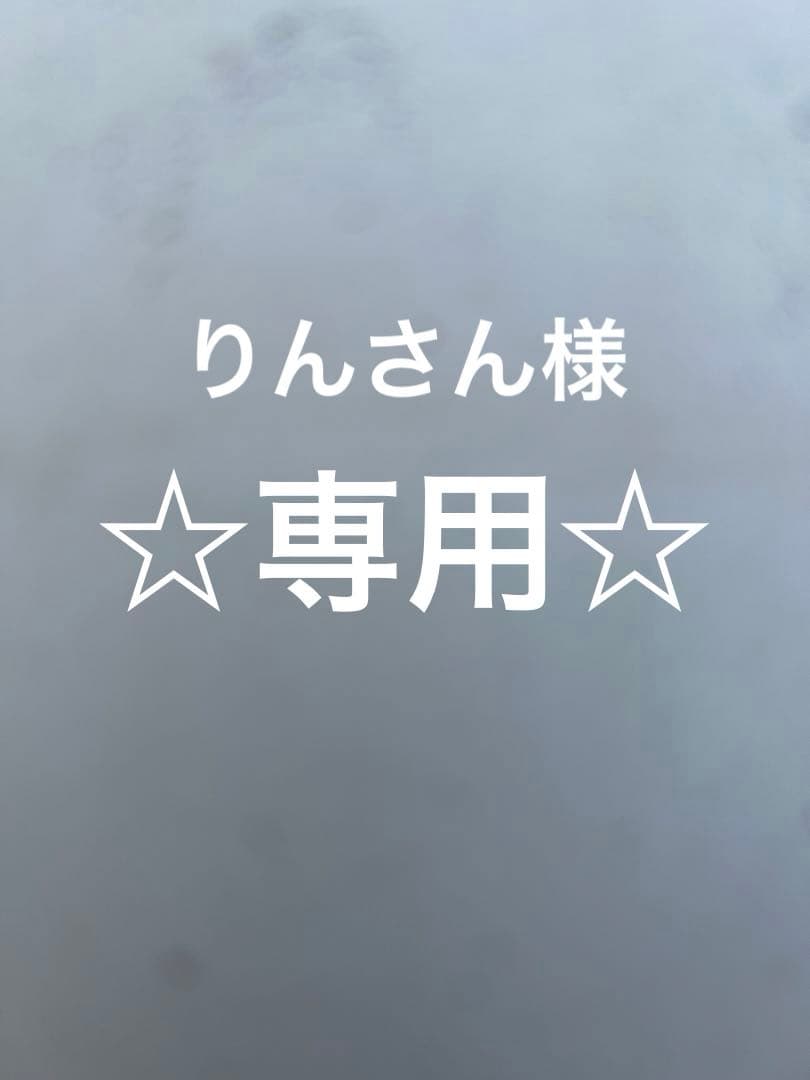 アダプトラテ専用☆