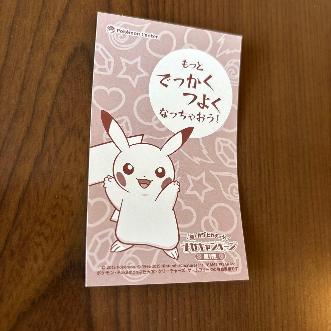 メガキャンペーン第1弾 ポンチョを着たピカチュウ名刺カード メガリザードン