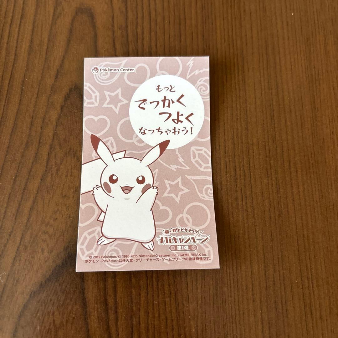 メガキャンペーン第1弾 ポンチョを着たピカチュウ名刺カード メガリザードン