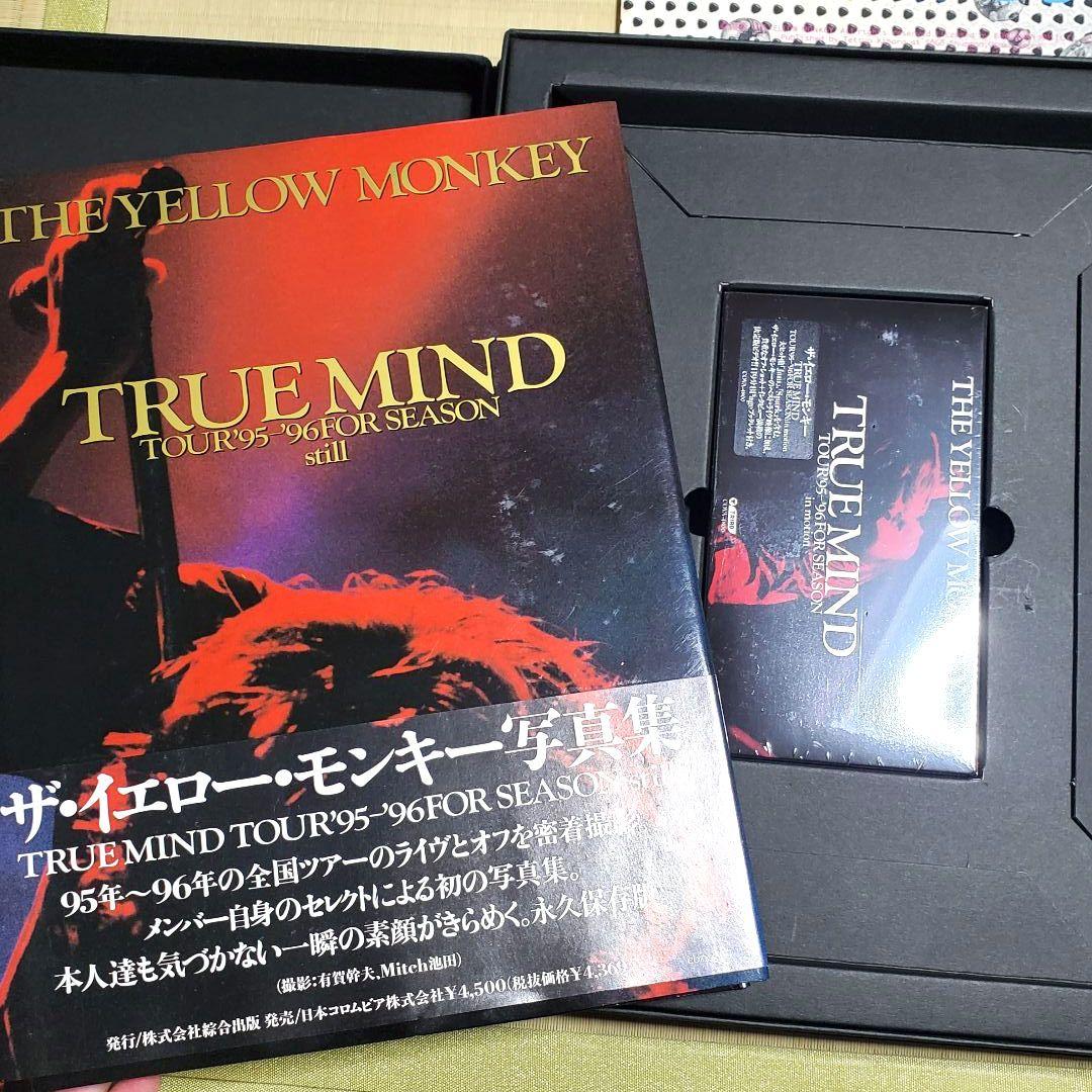 THE YELLOW MONKEY 非売品 レア物 CD ツアーパンフまとめ売り