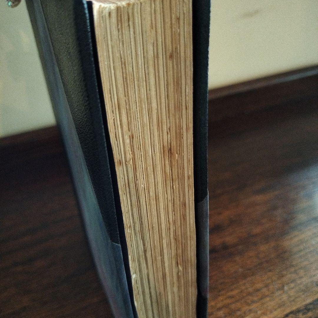 LE PIED DE FANCHETTE　洋書