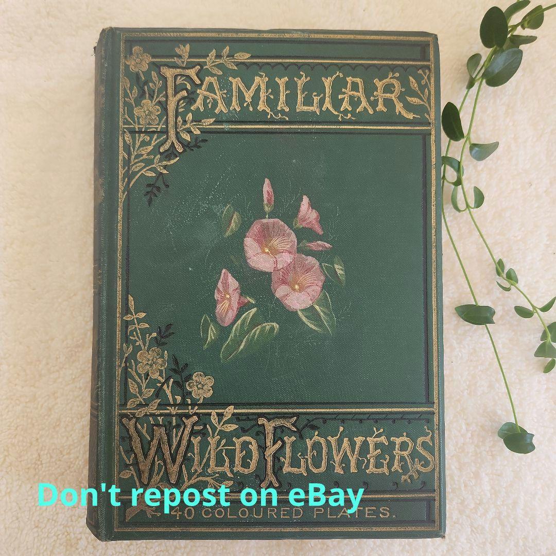 植物図鑑　洋書　ボタニカルアート　アンティーク　リトグラフ　27