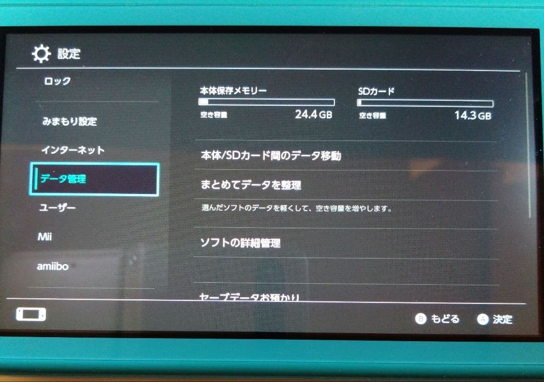 Nintendo Switch ターコイズ 起動確認済み