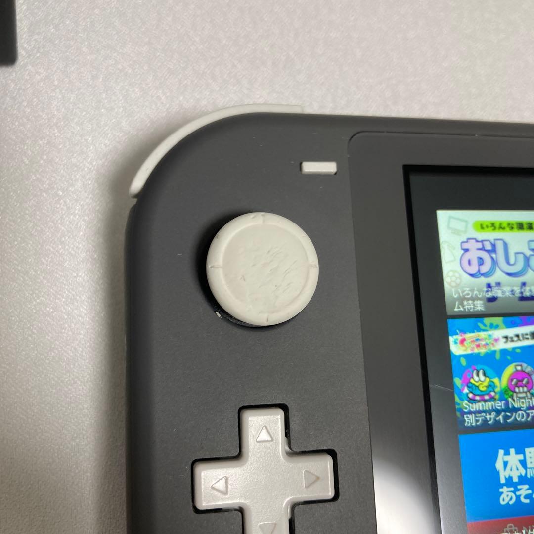 Nintendo Switch Lite グレー本体 充電器、SDカード付き