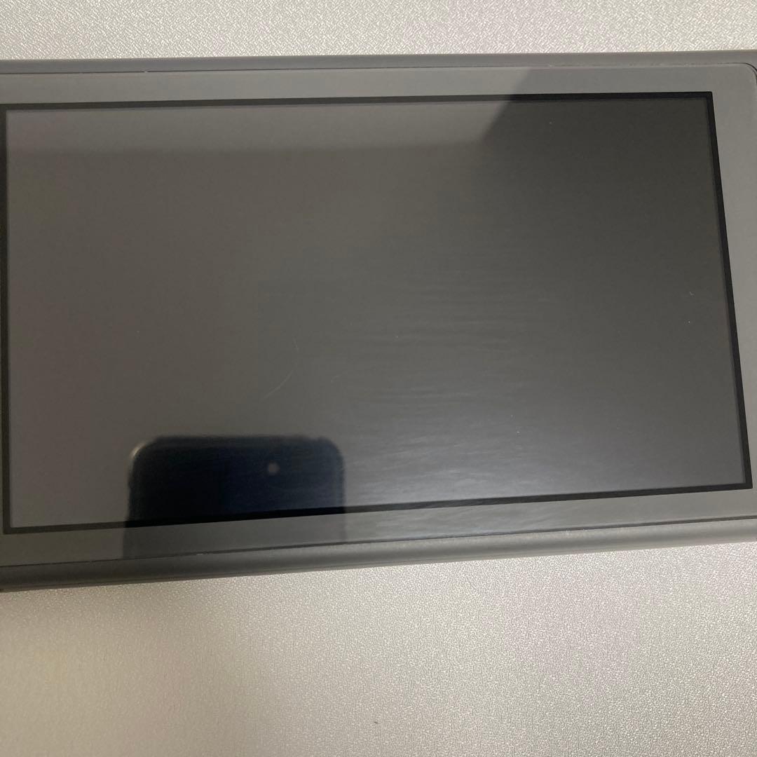 Nintendo Switch Lite グレー本体 充電器、SDカード付き