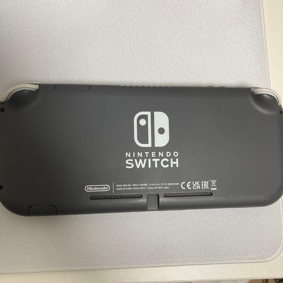 Nintendo Switch Lite グレー本体 充電器、SDカード付き