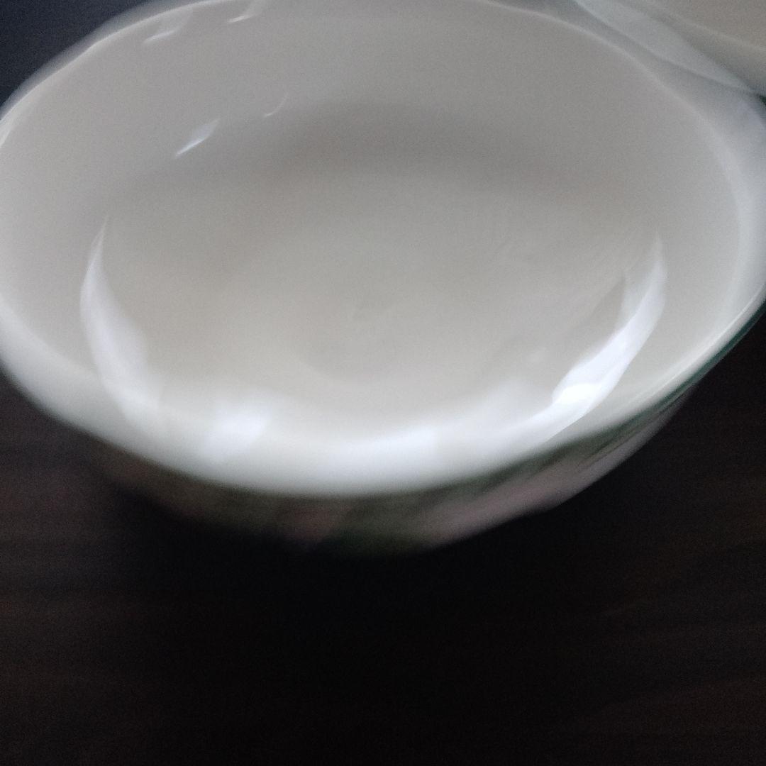 ビレロイ&ボッホ　フレンチガーデン　浅型ボウル　2個セット ドイツ食器