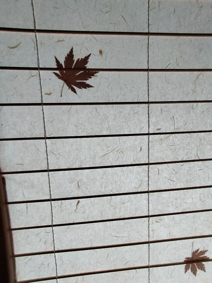 ayaka　紅葉模様の和紙パーテーション