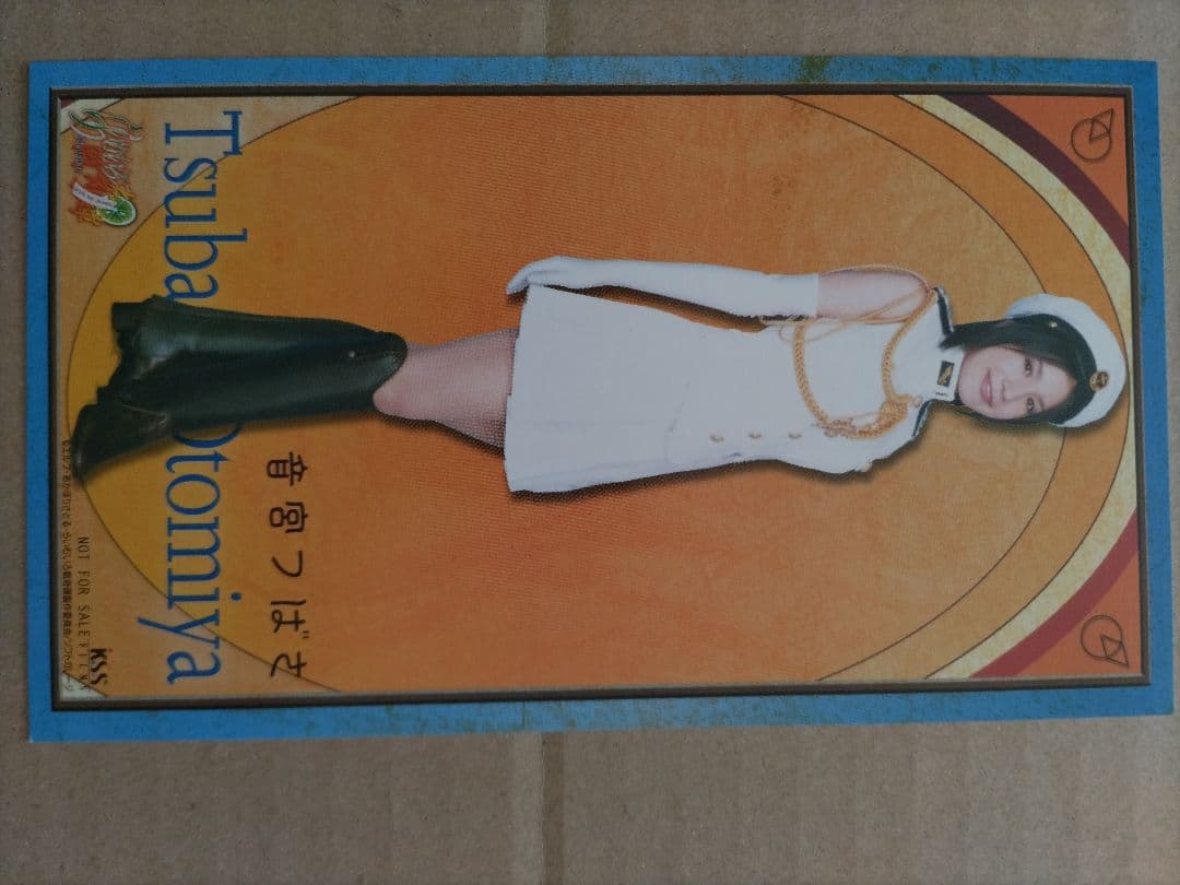 らいむいろ戦奇譚 ディレクターズカット完全版 DVD 3巻