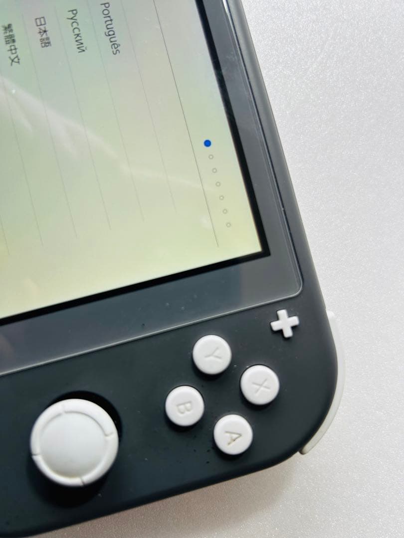 挨*x様 ネ*ネ様 Nintendo Switch Lite グレー 充電器、箱