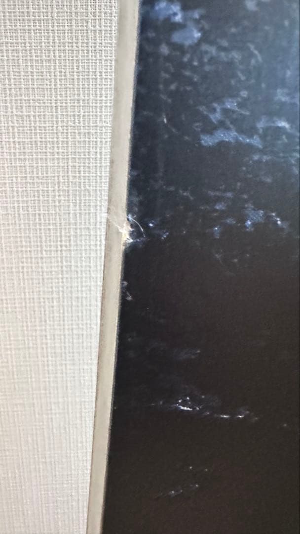 バートン　デイトレーダー145cm