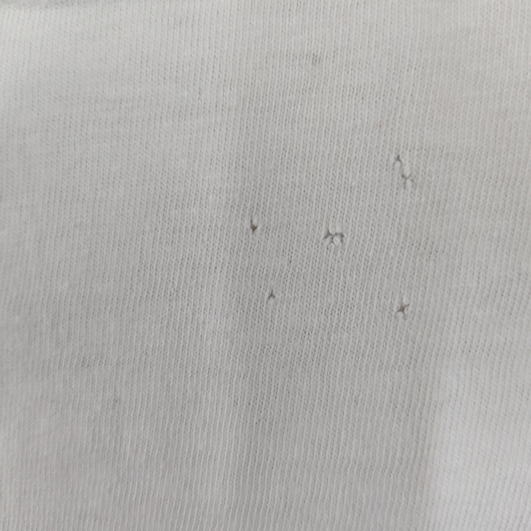 80s BattalionOfSaints Tシャツ アメリカンバードコア